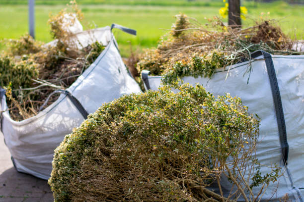 Best Basement Cleanout Services  in Exeter, CA